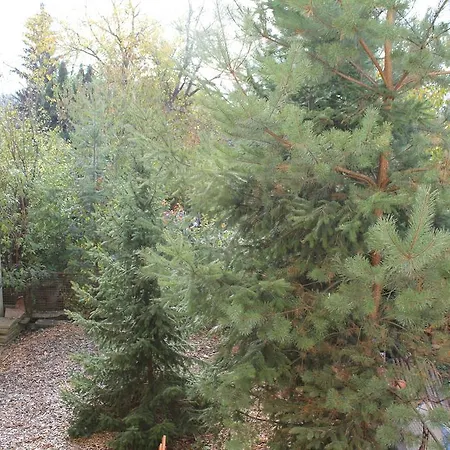 V Dobre Lokalite Apartament *