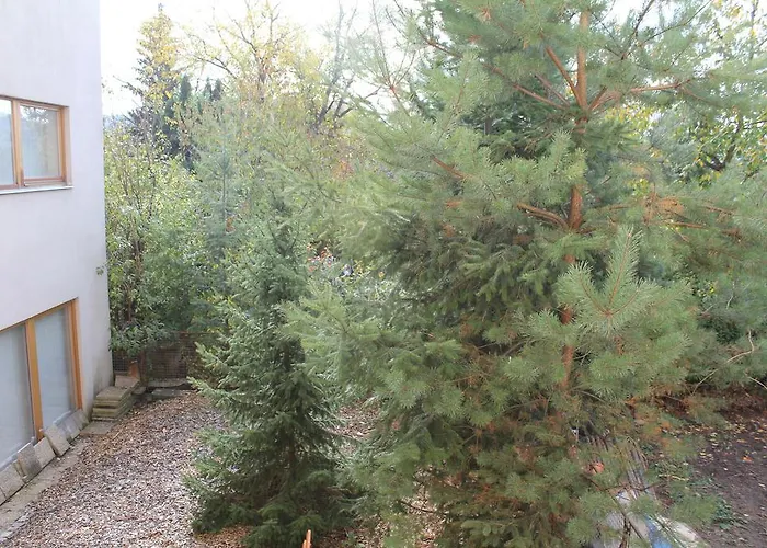 V Dobre Lokalite Apartament *
